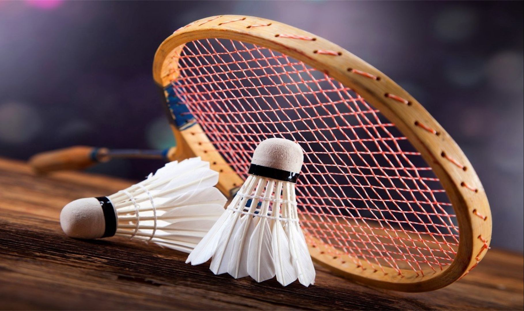 冰壶运动崛 冰壶运动崛