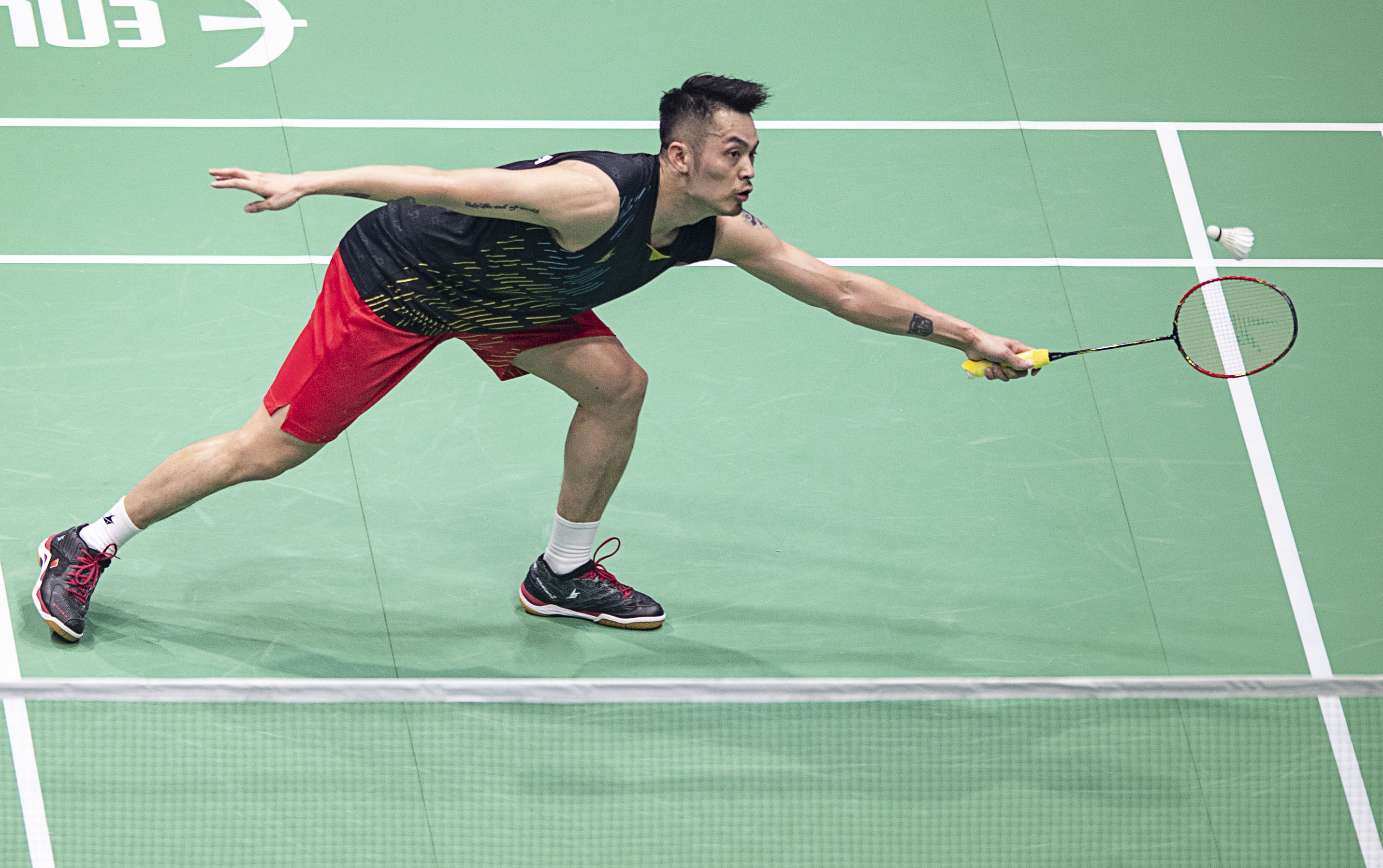 的沉稳坚韧 的沉稳坚韧